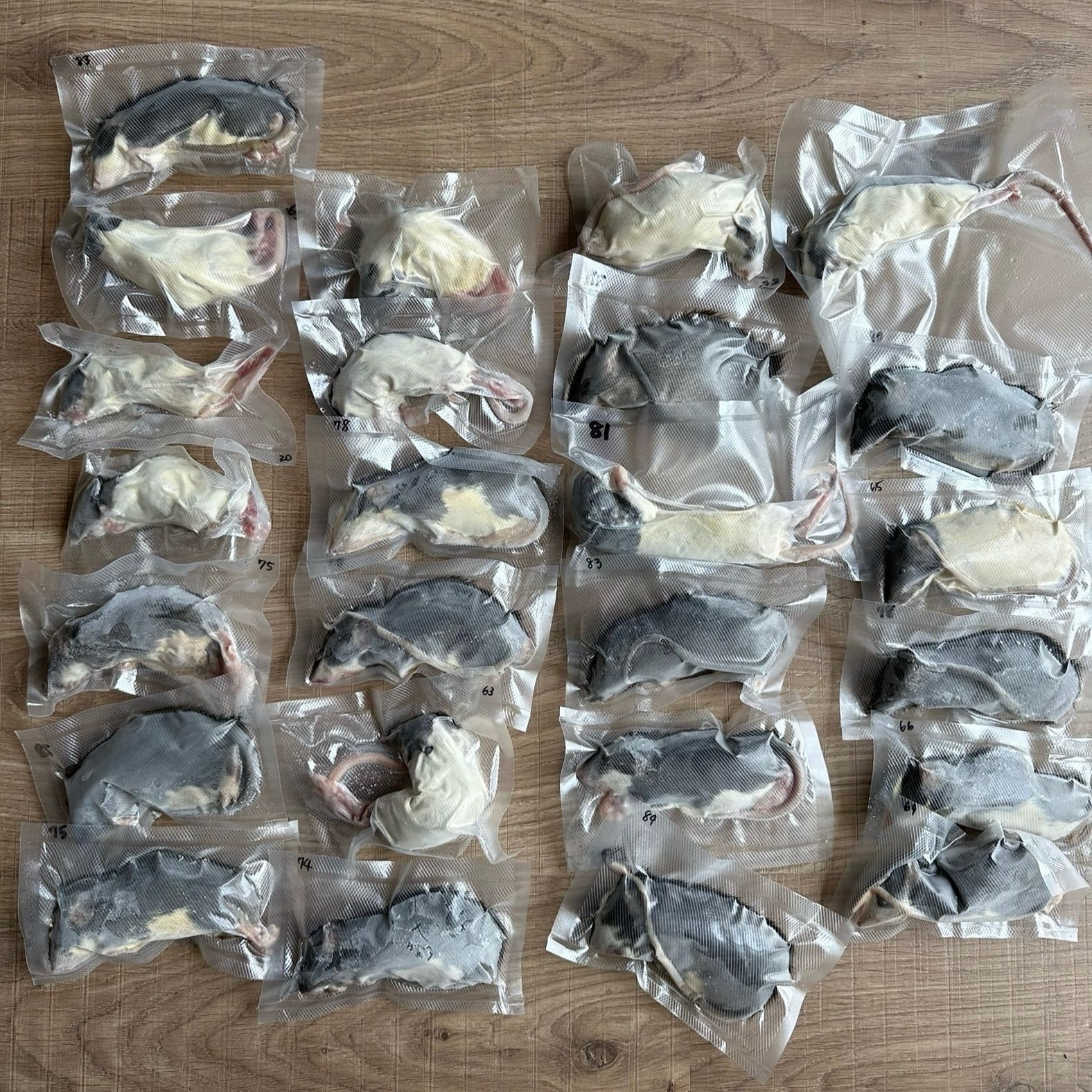 アダルトS60〜99g