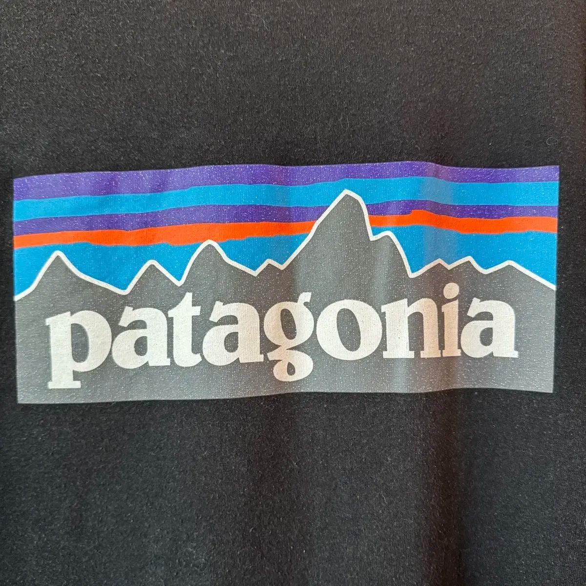 patagonia(パタゴニア) 半袖Tシャツ XL - メルカリ