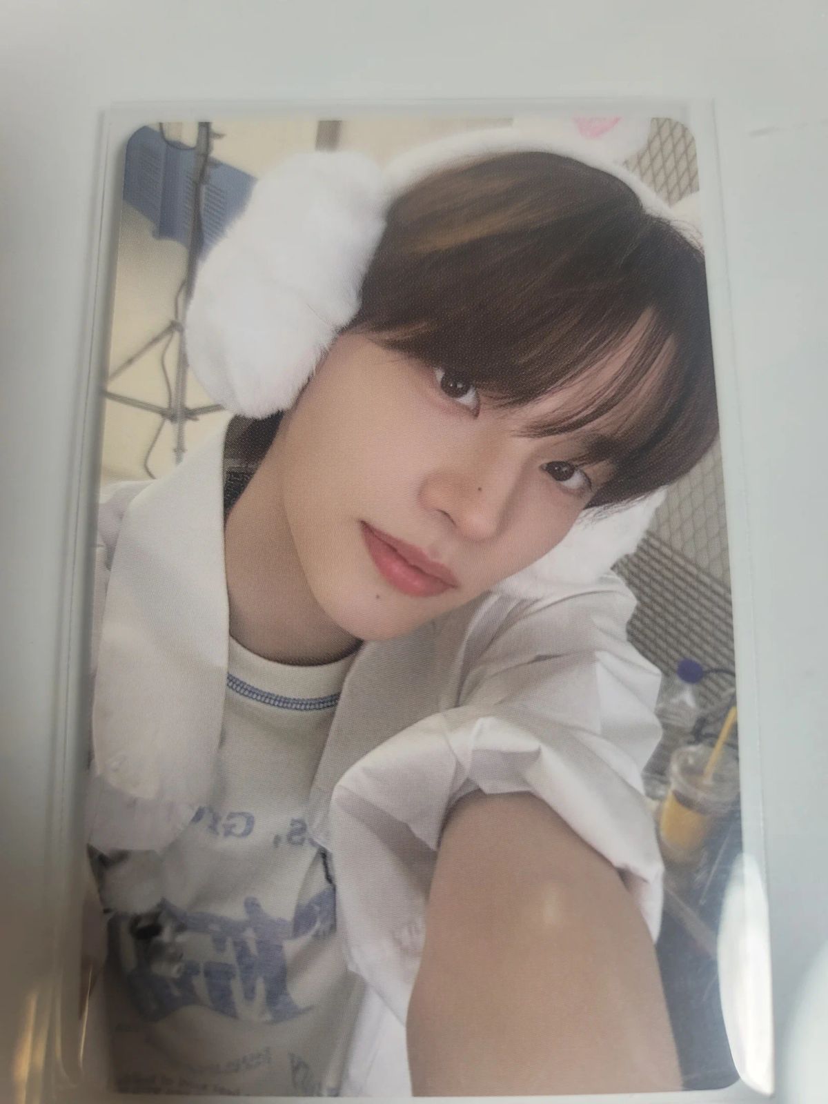 play hard dingo music GIFT