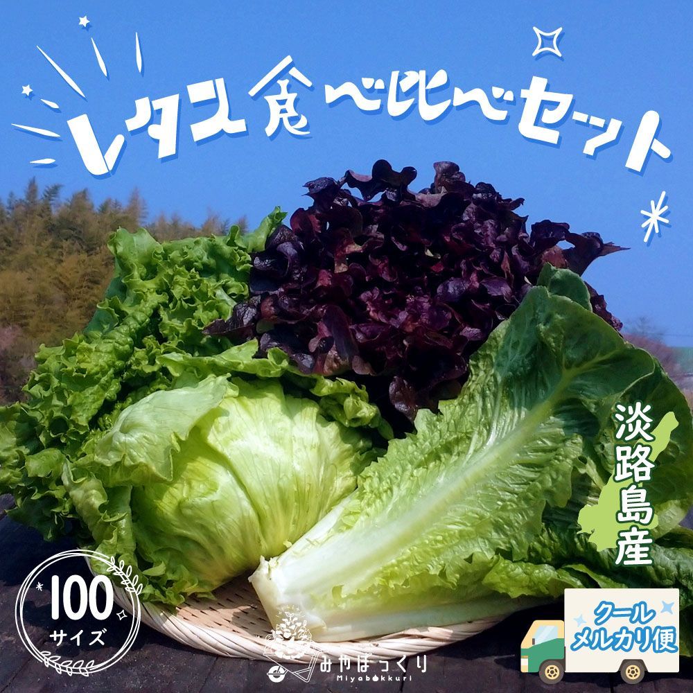 メルカリshops レタスの種類言えるかな レタス食べ比べセット 100サイズ