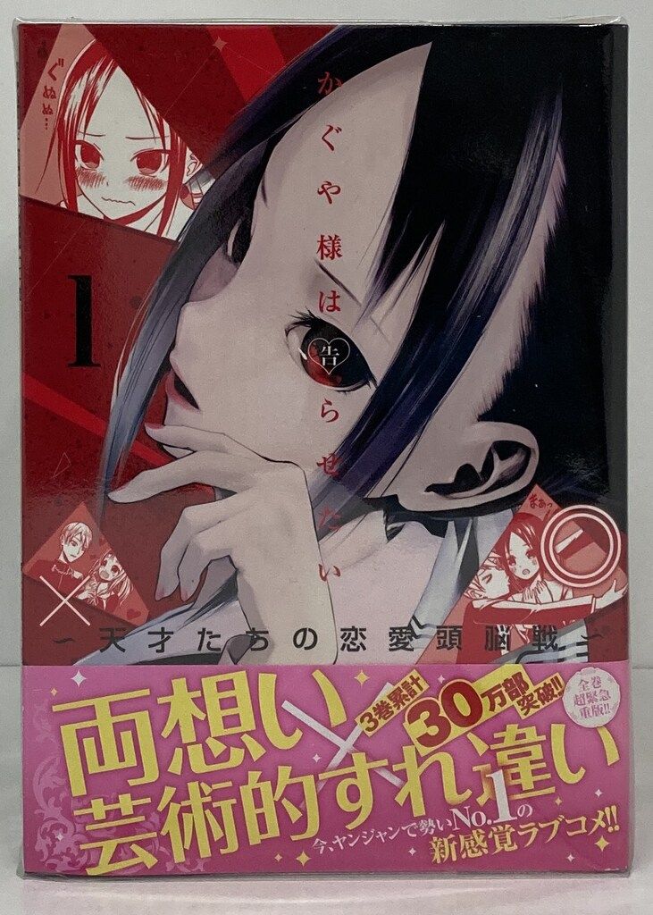 テラヘルツキューブ+玉川セラミックボールネットケース封入型 テラヘルツキューブ+玉川セラミックボールネットケース封入型 テラ