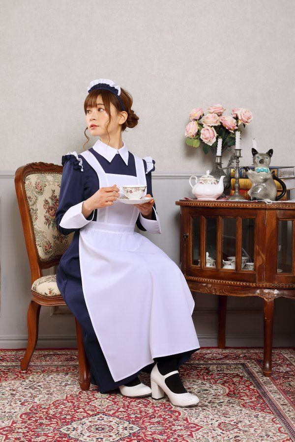 ラクレットオーブン（ハーフホール用） ラクレットオーブン(ラクレット