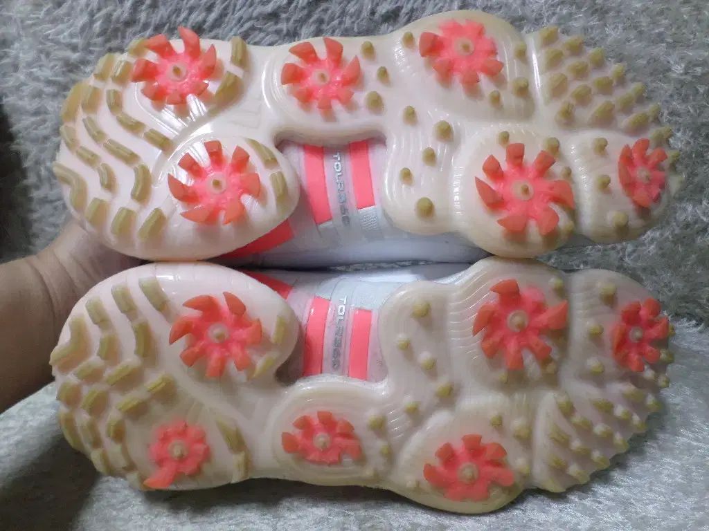 240 アディダス ツアー360 ボア ゴルフシューズ 中古 靴 2025年最新