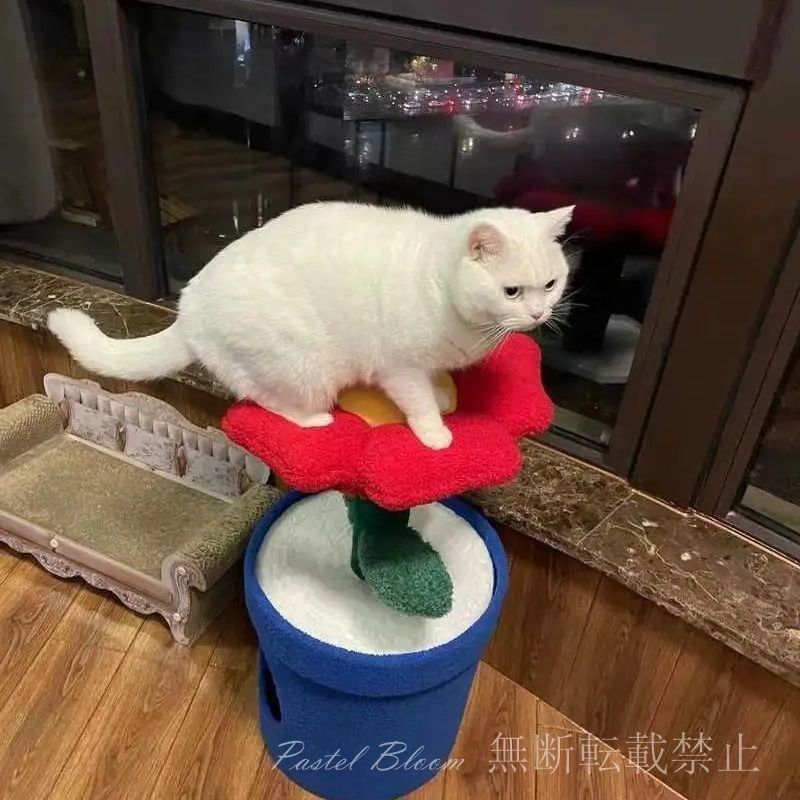 爪とぎ 猫ベッド