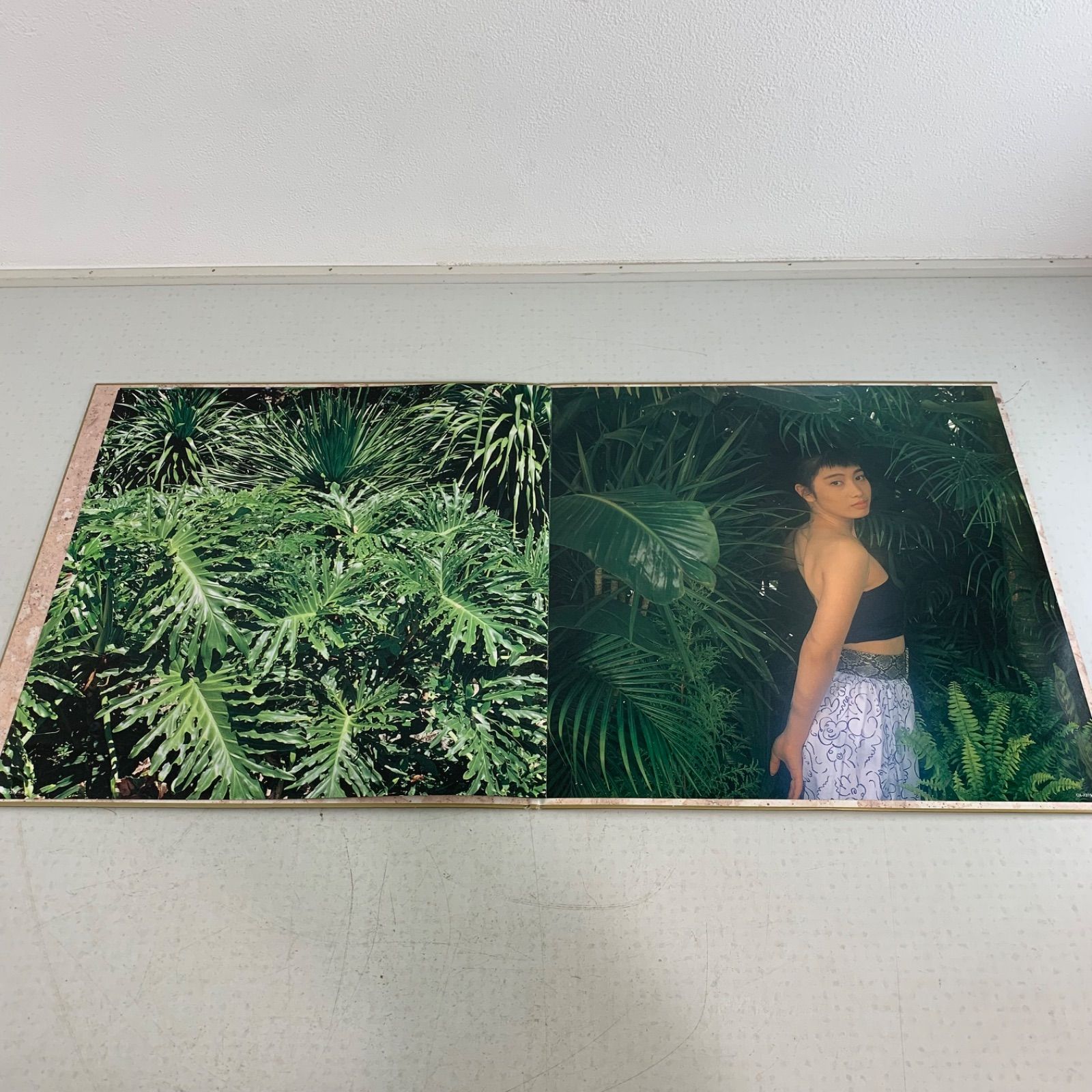 永野護 川村万梨阿 ファイブスター物語 GREEN & GOLD LP