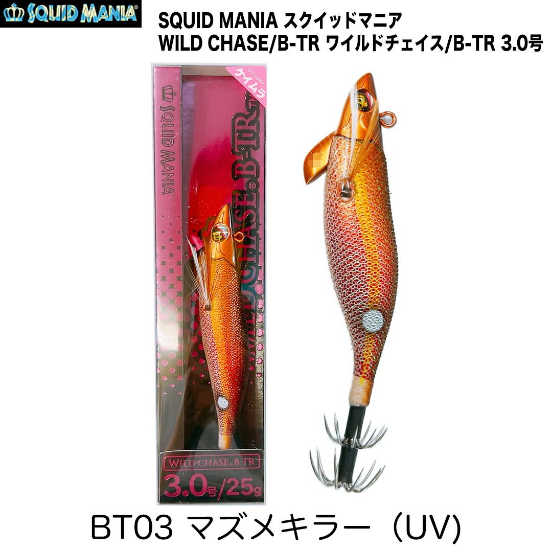 WILD CHASE B TR 3.0/25g エギ 5色セット WILD CHASE B-TR 3.0 25g