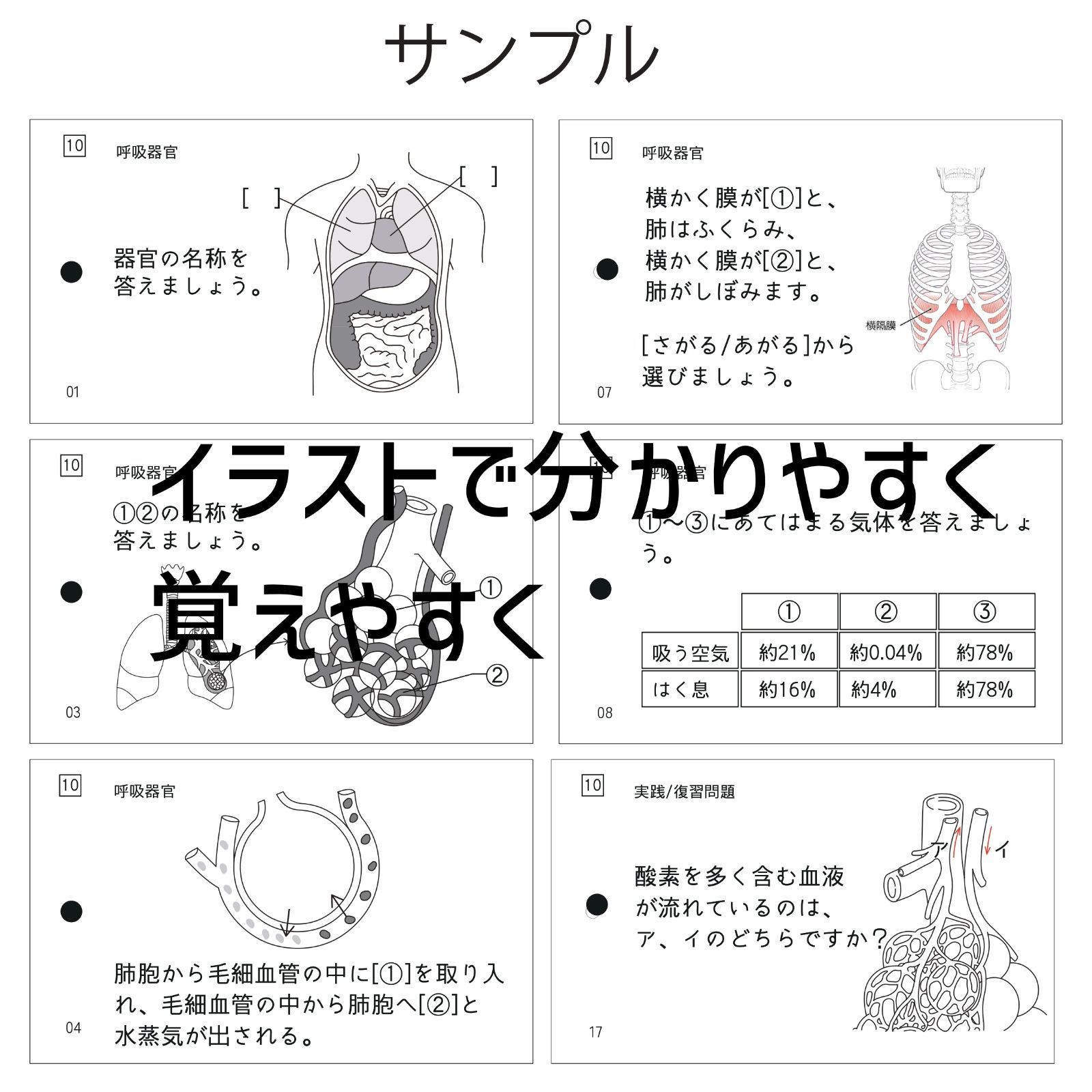 中学受験 生物マスター マスターシリーズ② 暗記カード - メルカリ