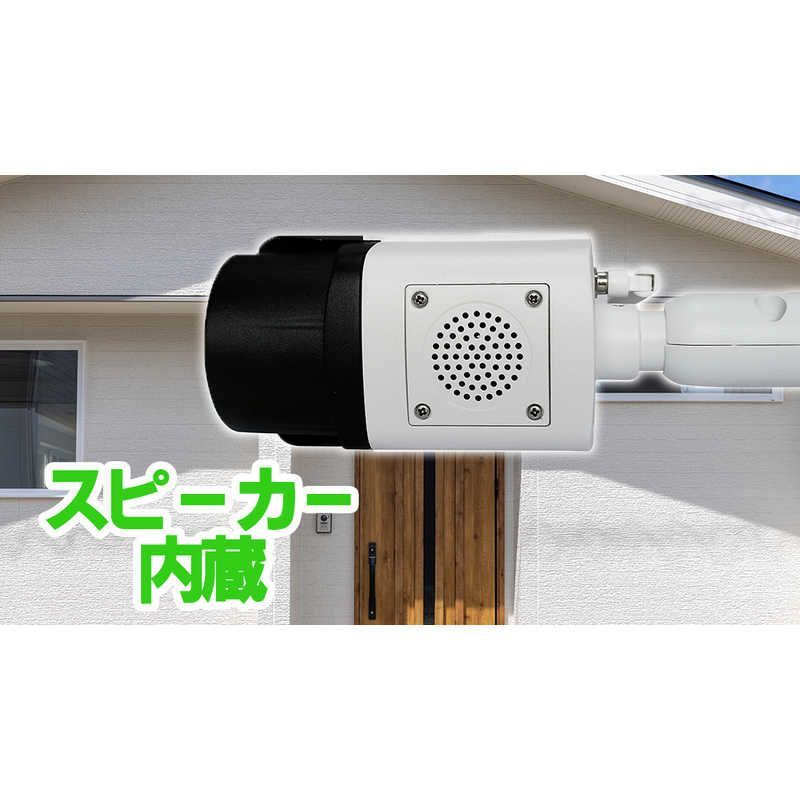 キャロットシステムズ