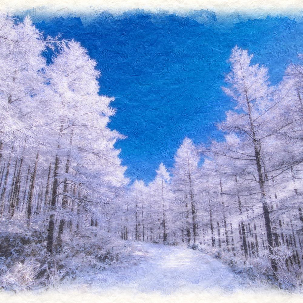 和紙の絵写真 「青空とカラマツの樹氷の雪道」 アート・写真 立体 立体