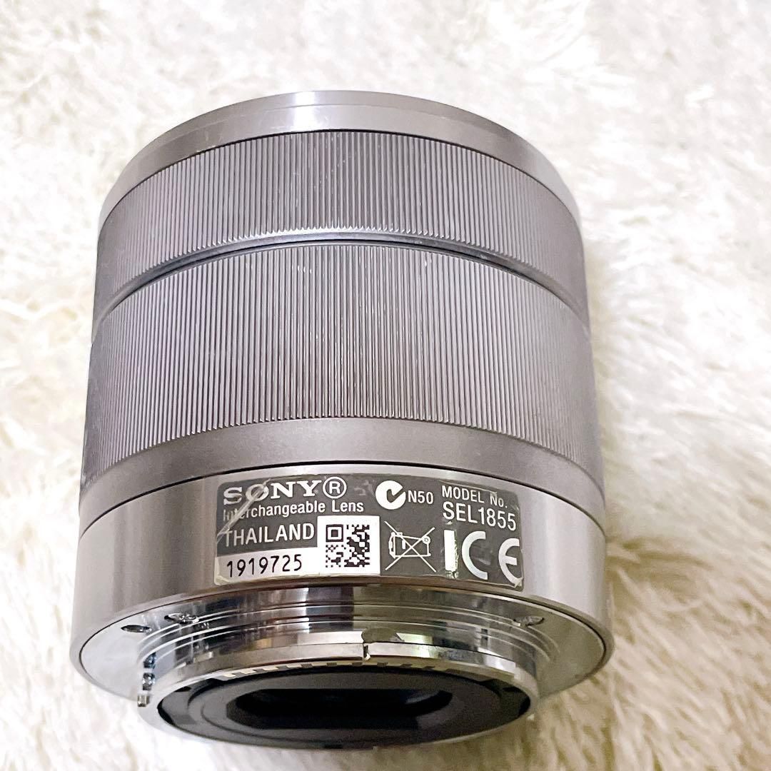 SONY ミラーレス一眼