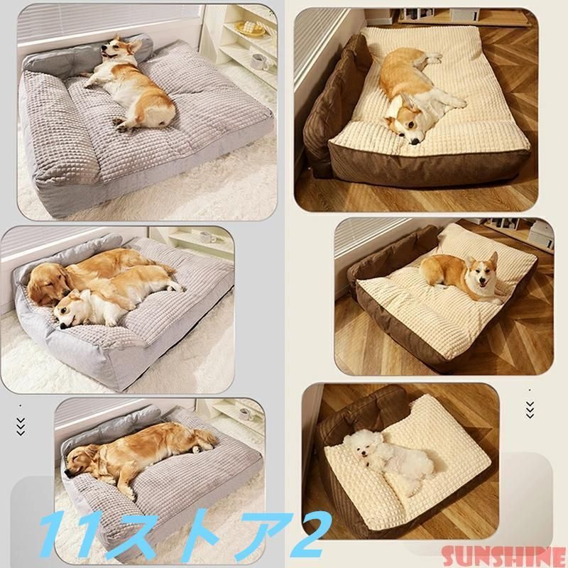 中型犬