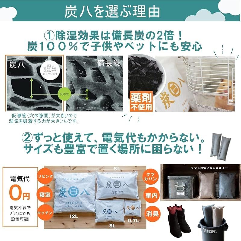 大袋 12L