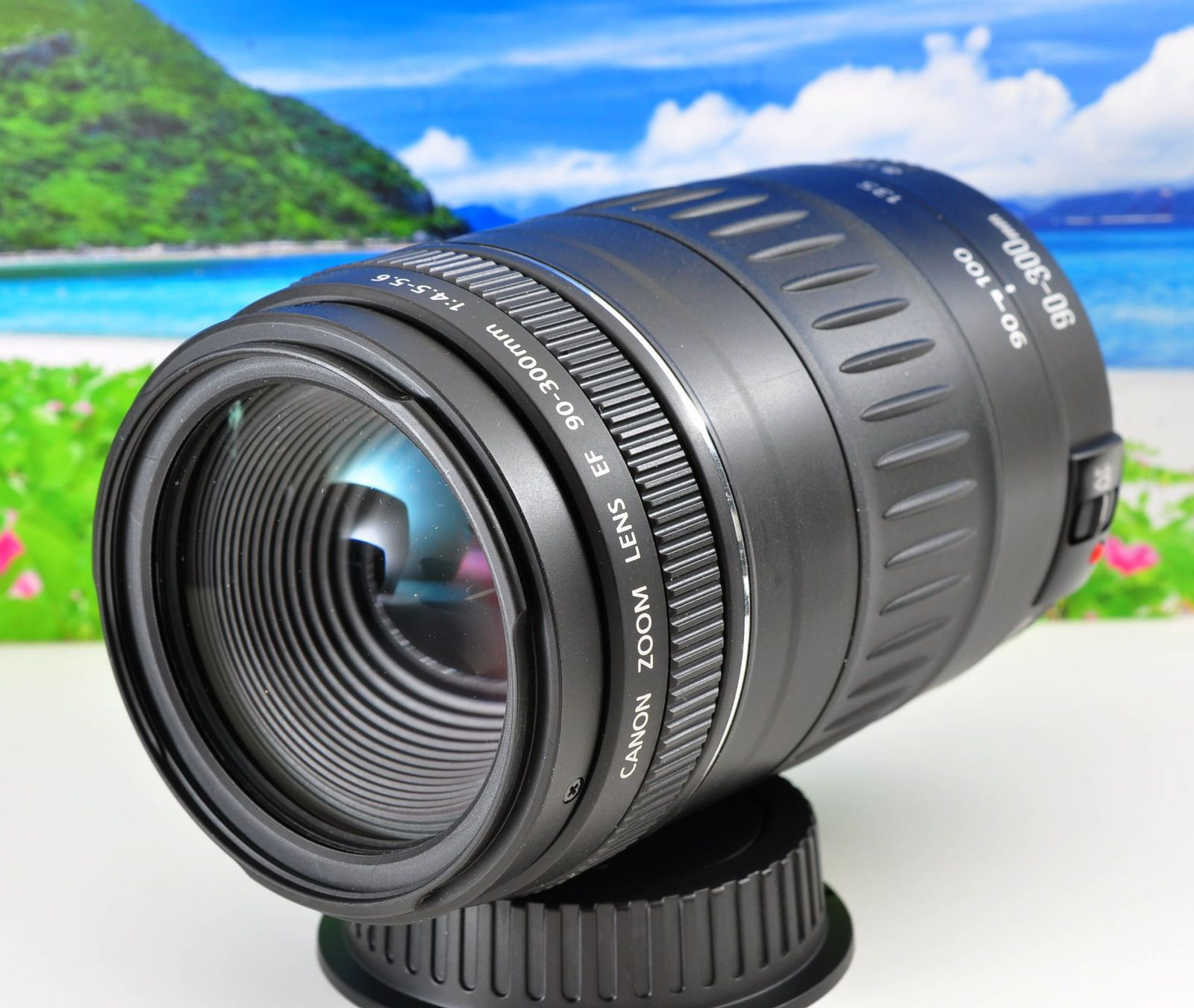 整備済み！フード付き！Canon キヤノン EF90-300mm 望遠レンズ
