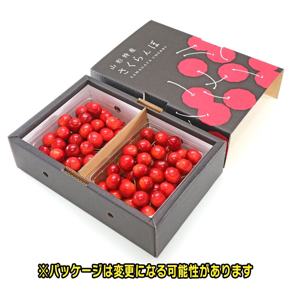 鮮やかな紅色】さくらんぼ 甘味と酸味のバランス 佐藤錦