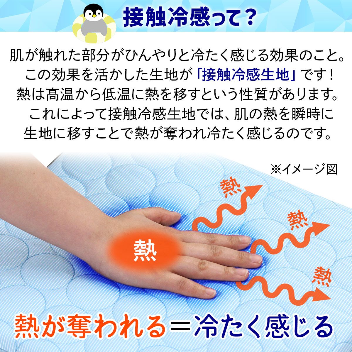 いぬ