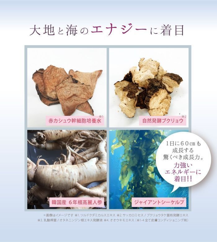 サイムダンプレミアム STEM モイスチャー パーフェクト リッチ