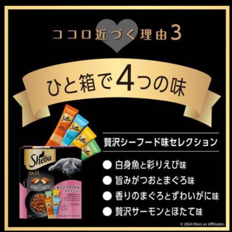 キジトラ