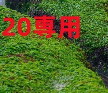 20専用 - メルカリ