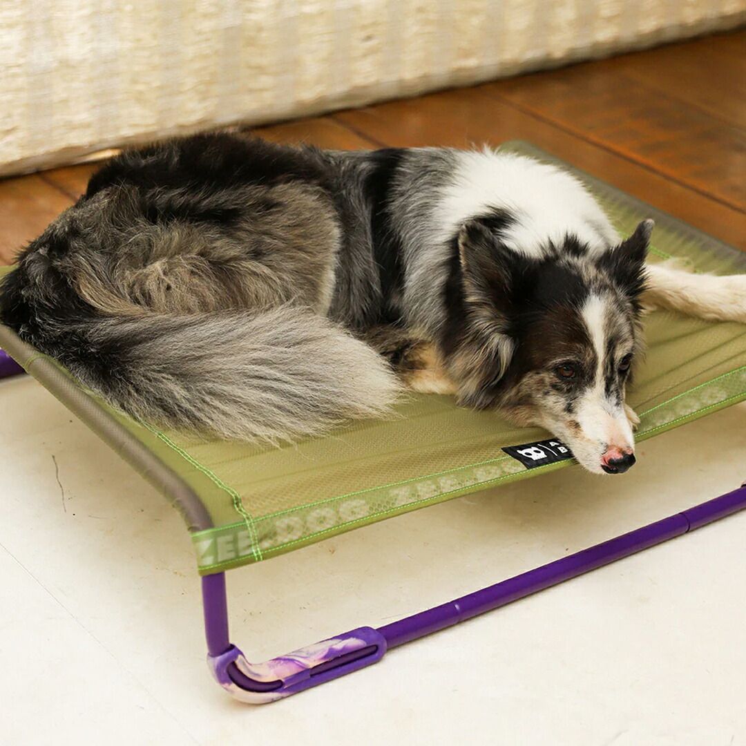 zee.dog ジードッグ AIR.BED MEDIUM M エアベッド 犬用ベッド 999211|999214 STEELWINDOWSANDDOORS_COM