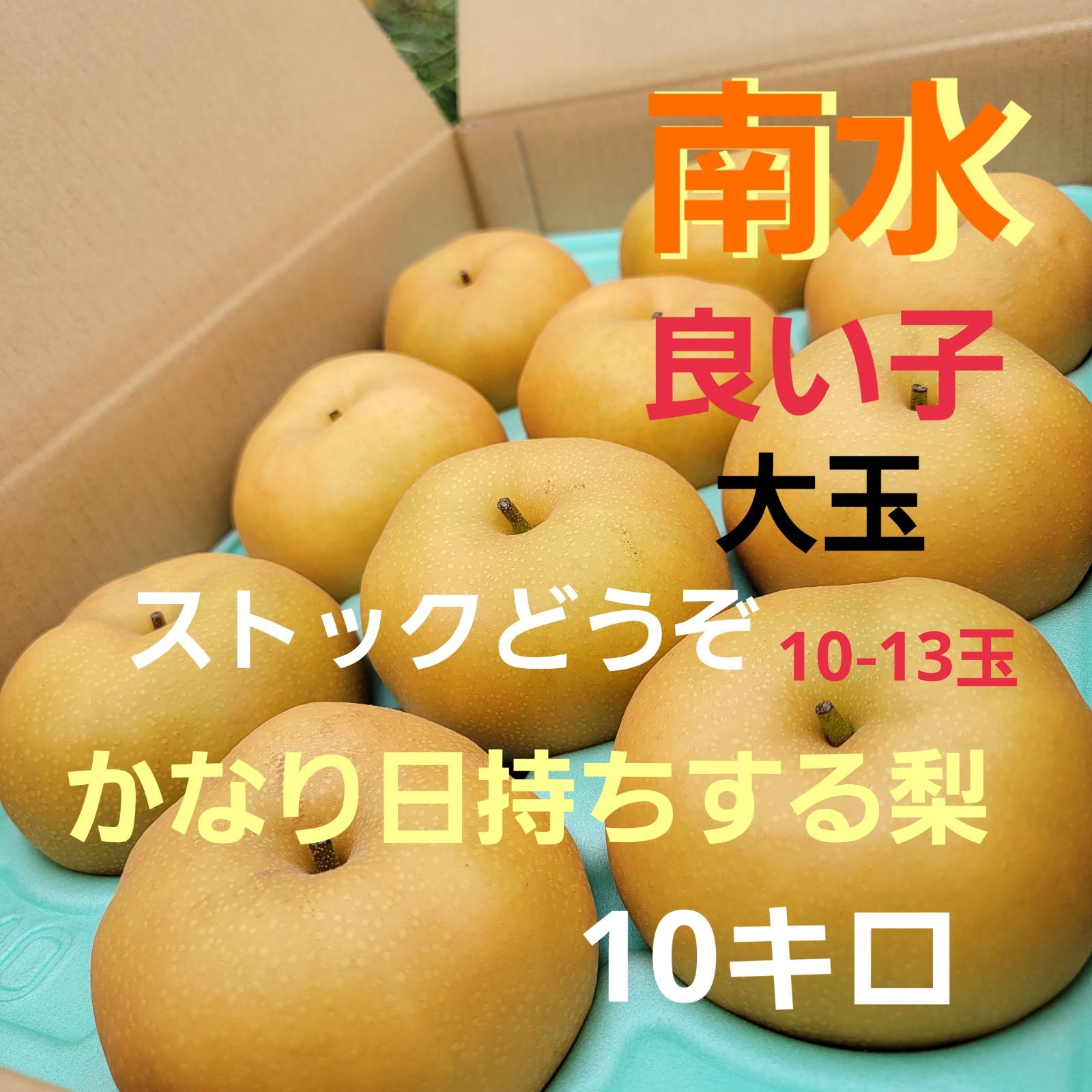 先行販売 南水10キロ 良い子 大玉 ストックどうぞ