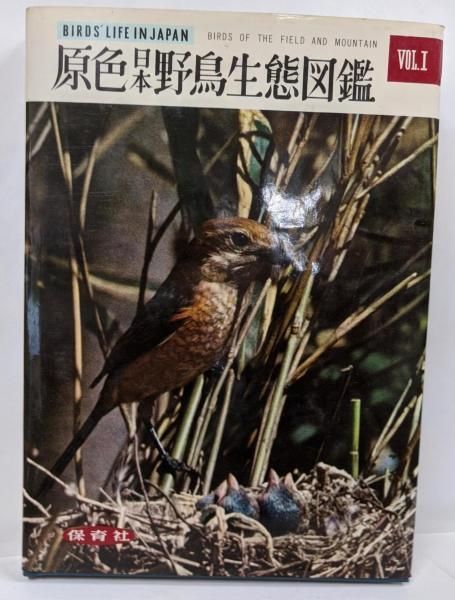 原色日本野鳥生態図鑑 1 山野の鳥／清棲幸保／保育社-公式
