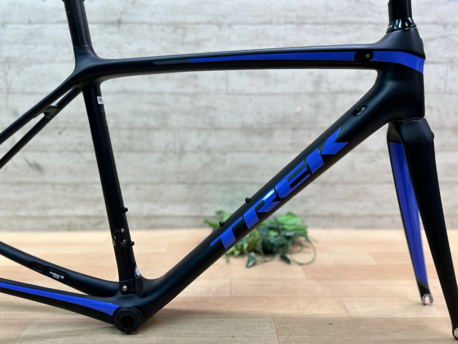 テルスポ イチ推し!! 上品!! TREK EMONDA SL5 WSD 2019 RIM FRAMESET size 52 OCLV500 CARBON トレック エモンダ ロード カーボン フレームセット ダイレクトマウント リムブレーキモデル WWW_OLIVIERBERNSTEIN_COM