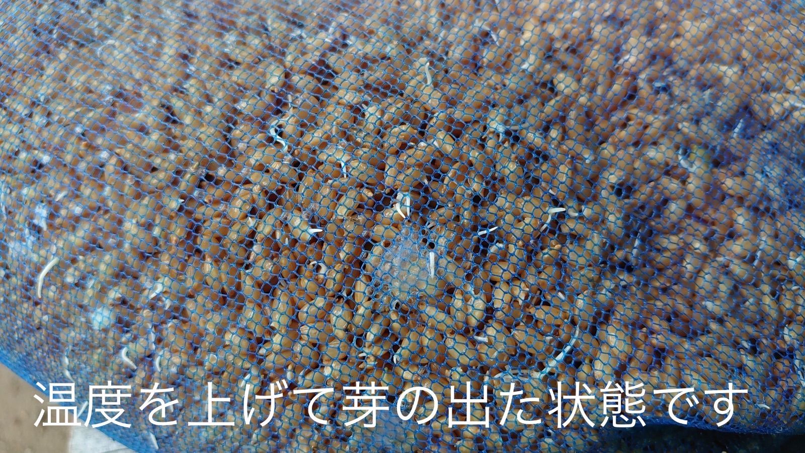 米