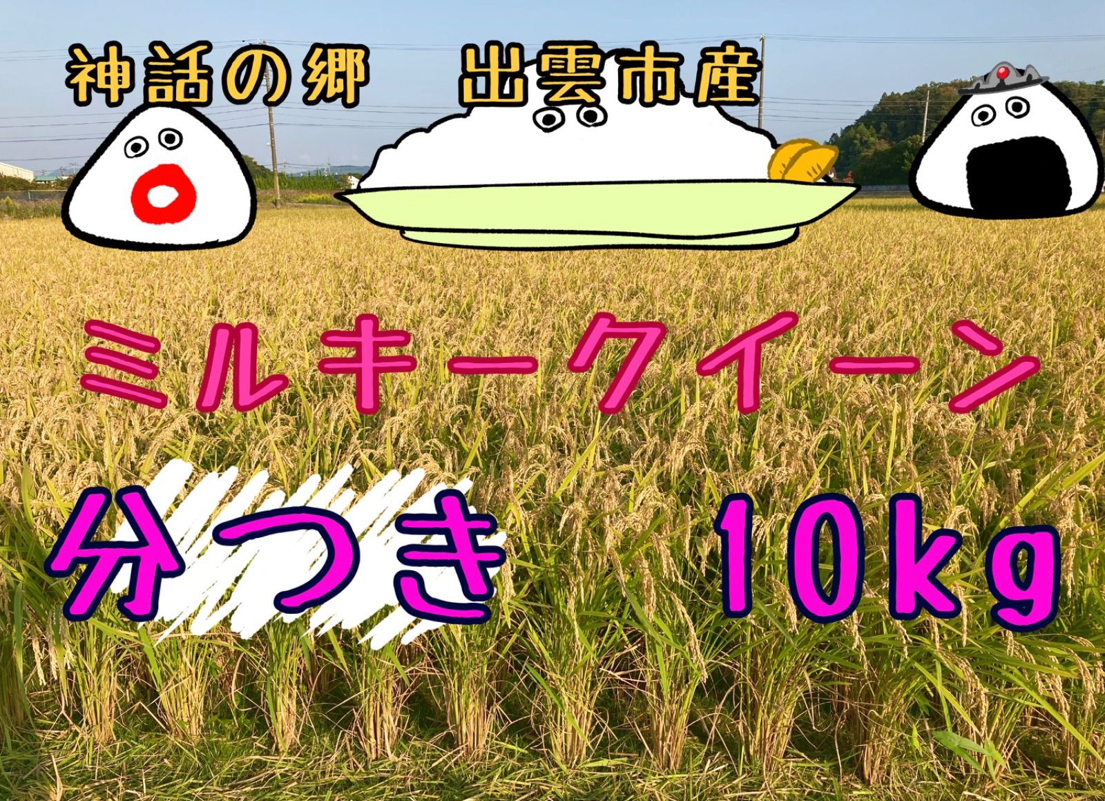 ミルキークイーン 分つき 〔精米後〕約10㎏