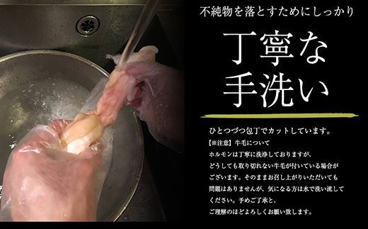 黒毛和牛 マルチョウ 丸腸 焼肉 ホルモン BBQ 国産牛 九州産 (400ｇ)-3