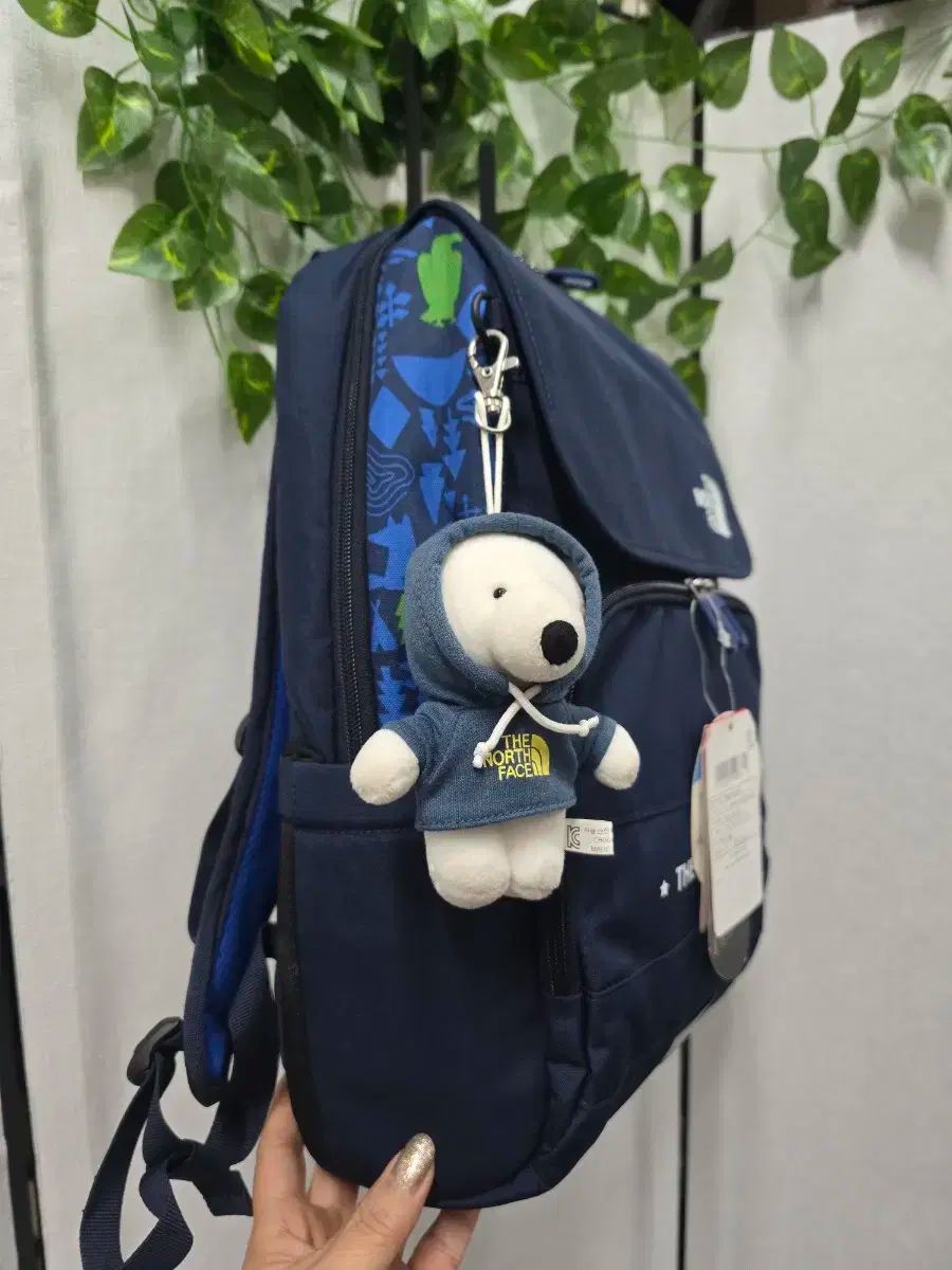 ザノースフェイス