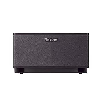 Roland ローランド ギターアンプ CUBE-LT-BK ブラック 【公式通販】