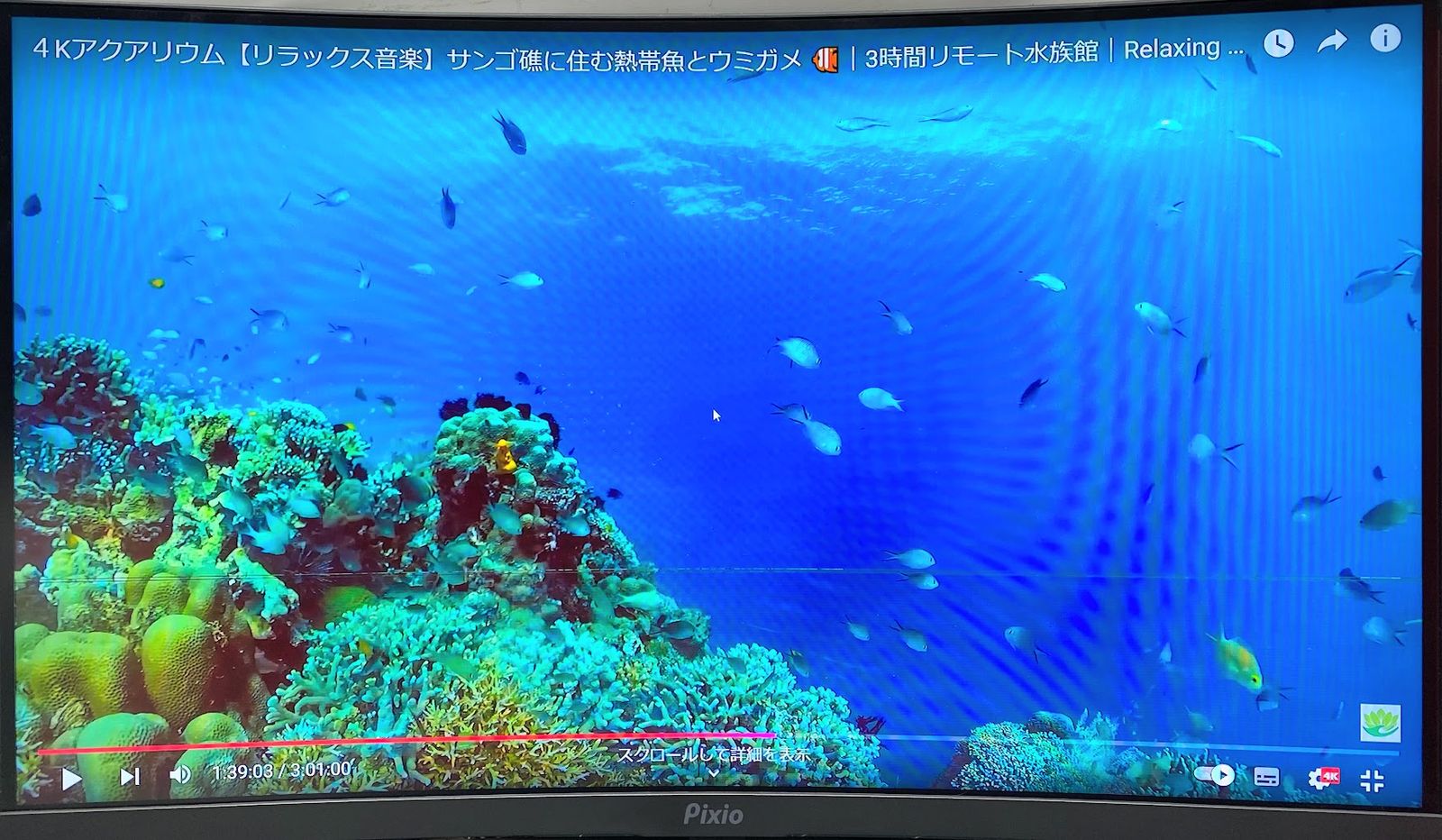 【在庫処分】Pixio PXC243S 湾曲165hz 24インチ Amazon.co.jp: Pixio PXC243S 湾曲 ゲーミングモニター 24インチ