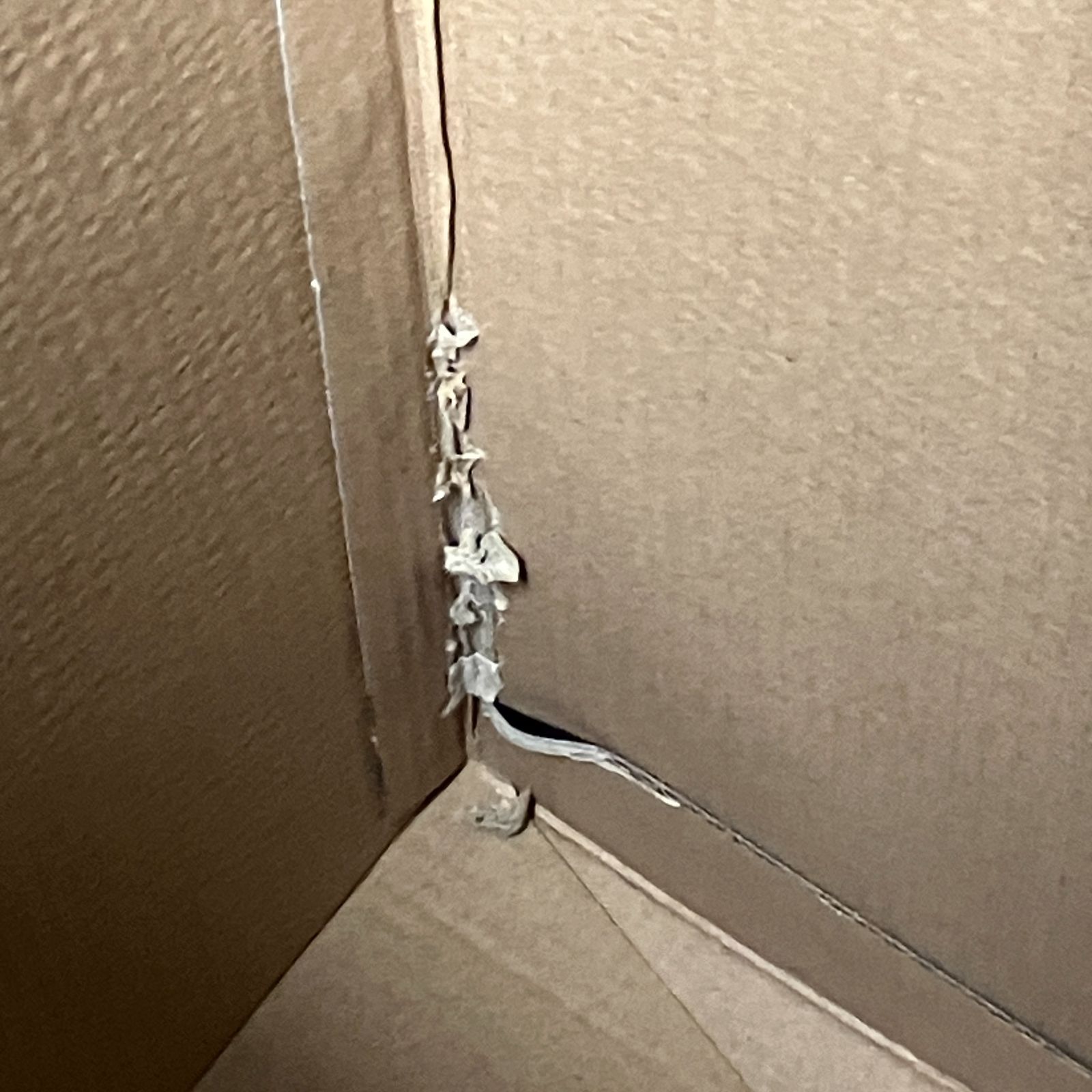 バイオハザードヴィレッジ COLLECTORS