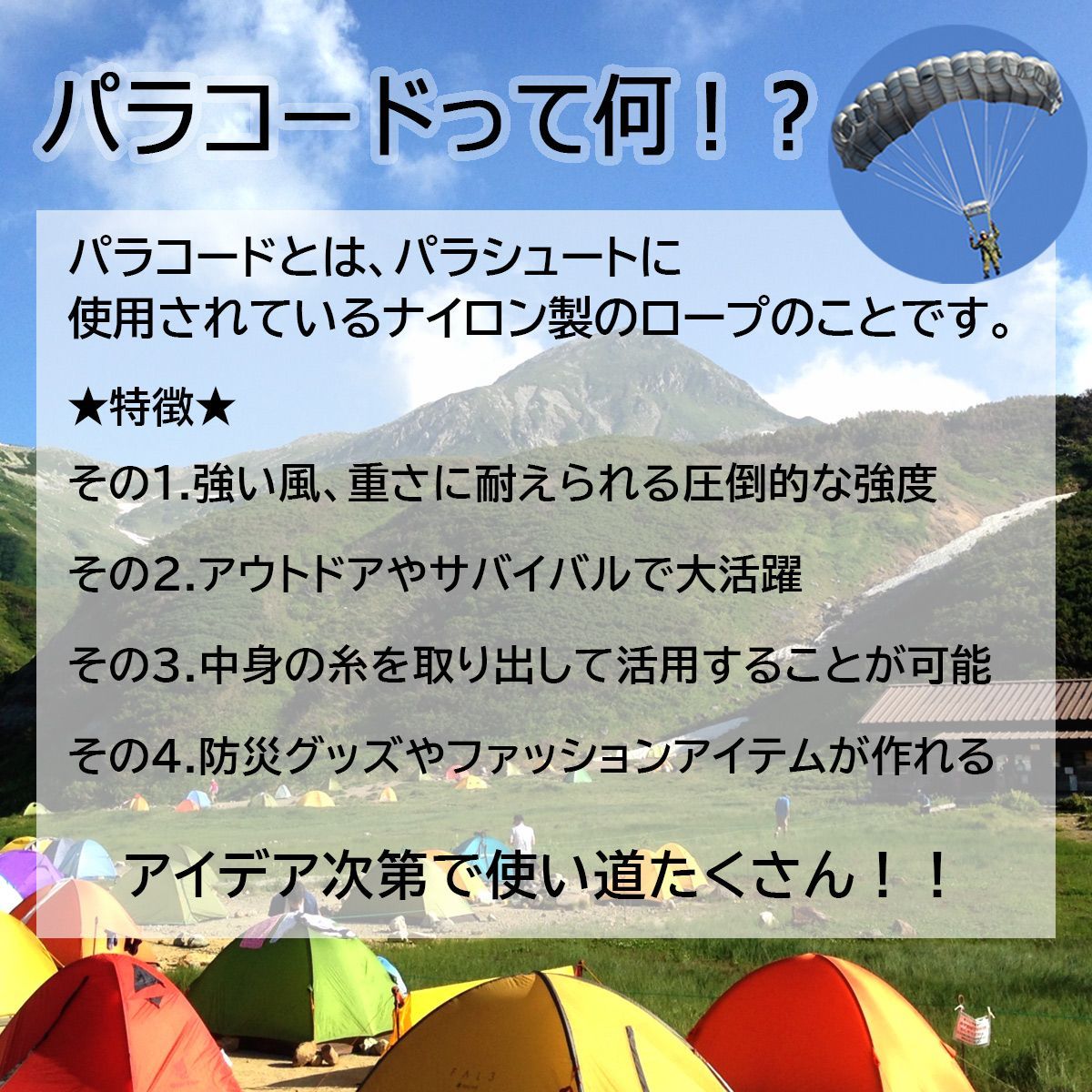 アメリカ製 4mmパラコード お得な2本セット＋専用ハサミ付【匿名