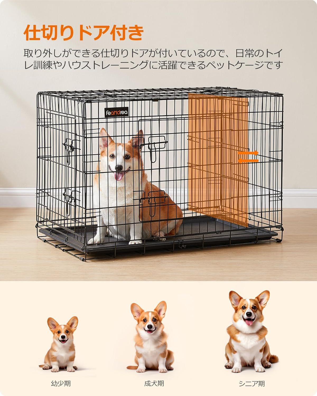 猫 107