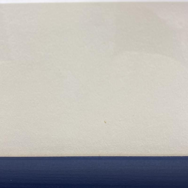 風の谷のナウシカ