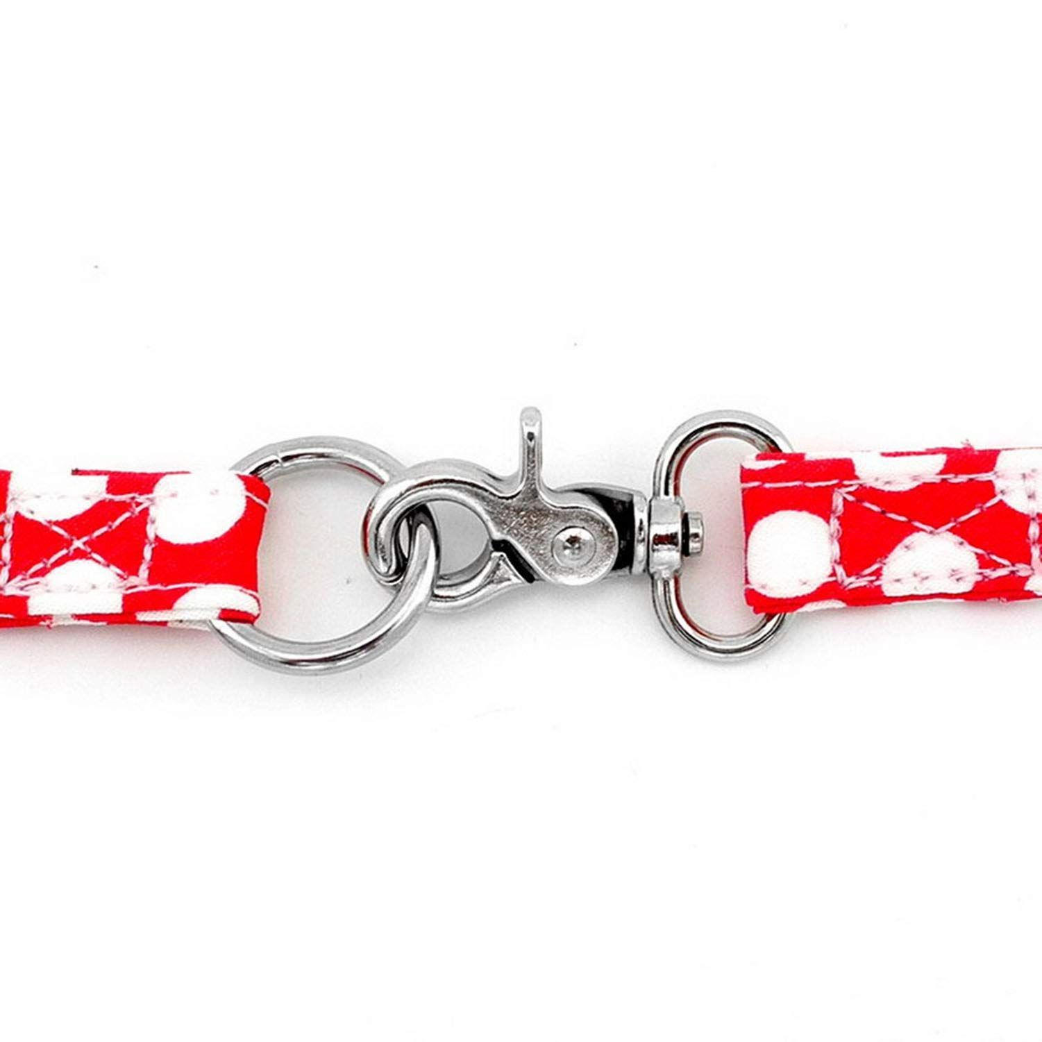 小型犬用 レッド