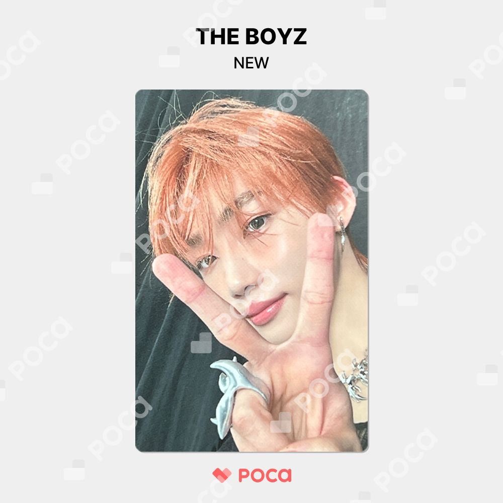 THE BOYZ ニュー　サノク　トレカ THE BOYZドボイズ トレカ まとめ セット ニュー チャニ サノク