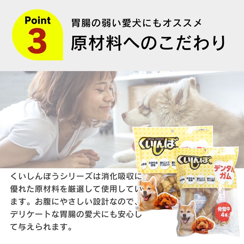 くいしんぼ デンタルガム