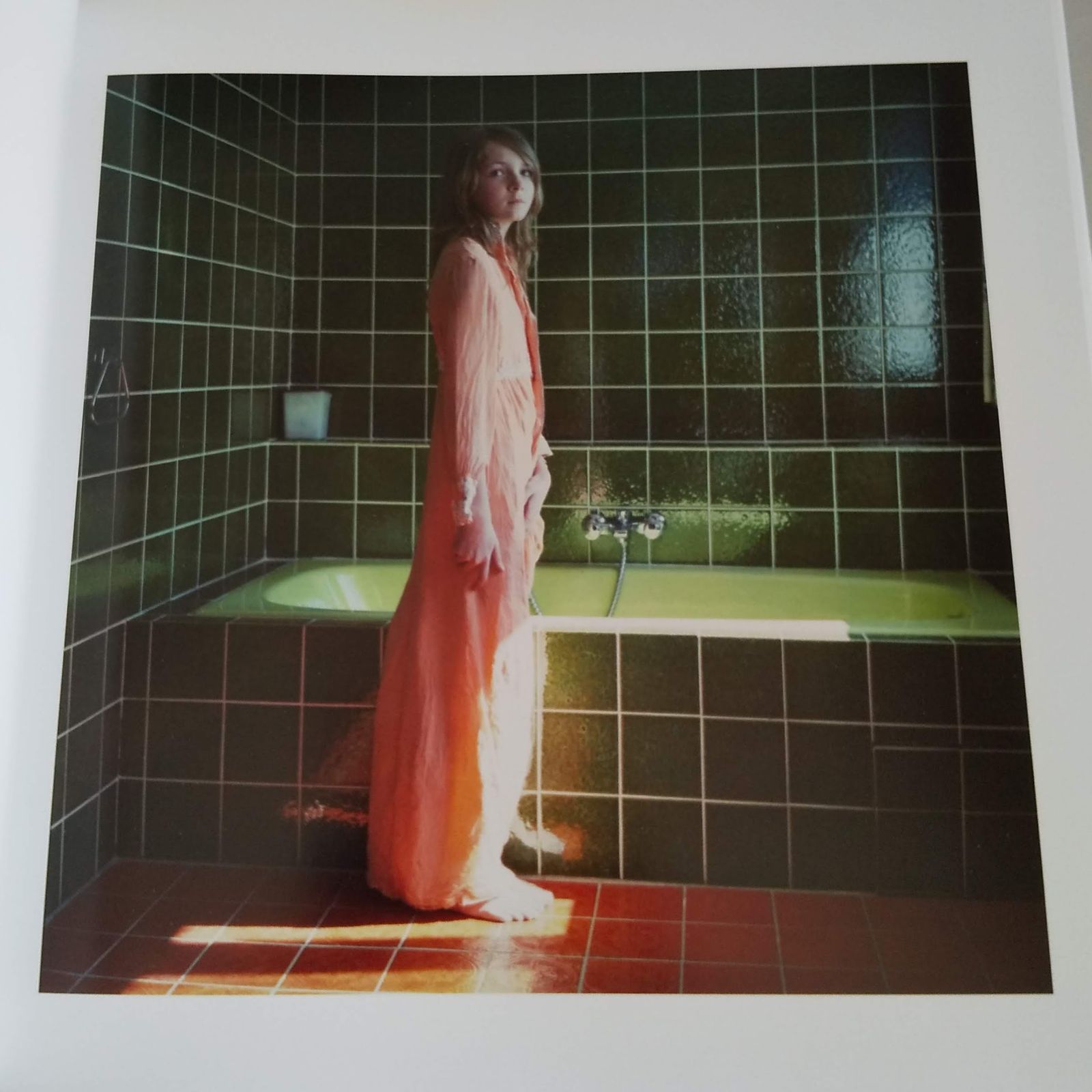 Hellen van Meene: Tout Va Disparaitre - メルカリ