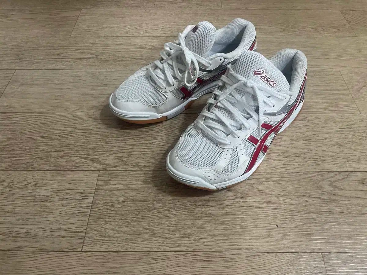 asics アシックス 宝くじ 260size