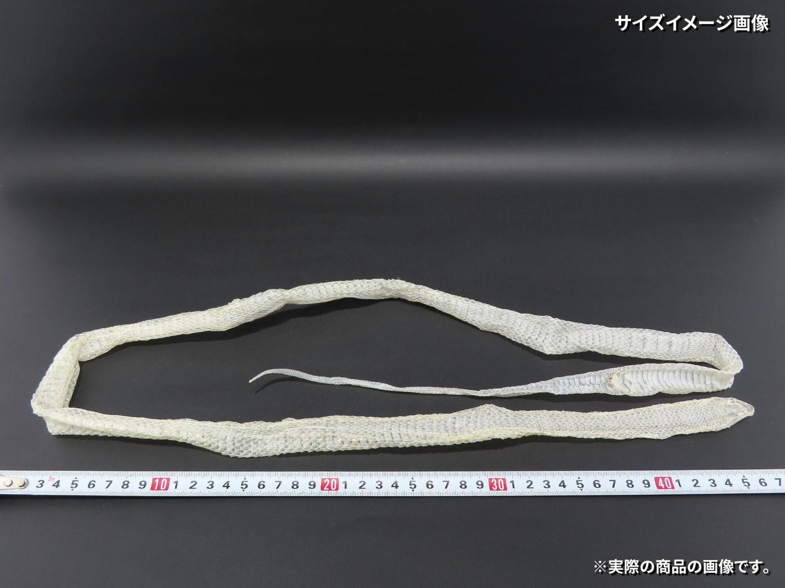 縁起物 金運
