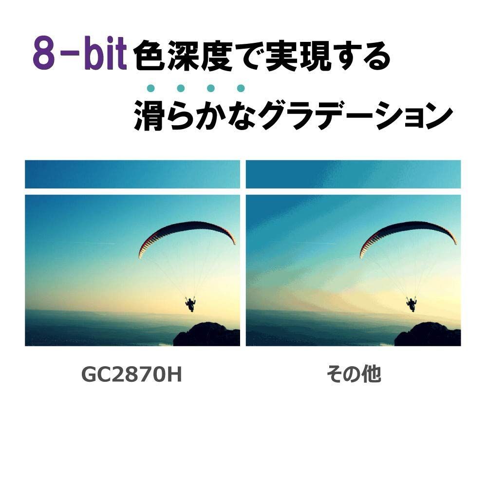 特価商品】GC2870H ディスプレイ 28インチ/フルHD/VA/HDMI,VGA端子