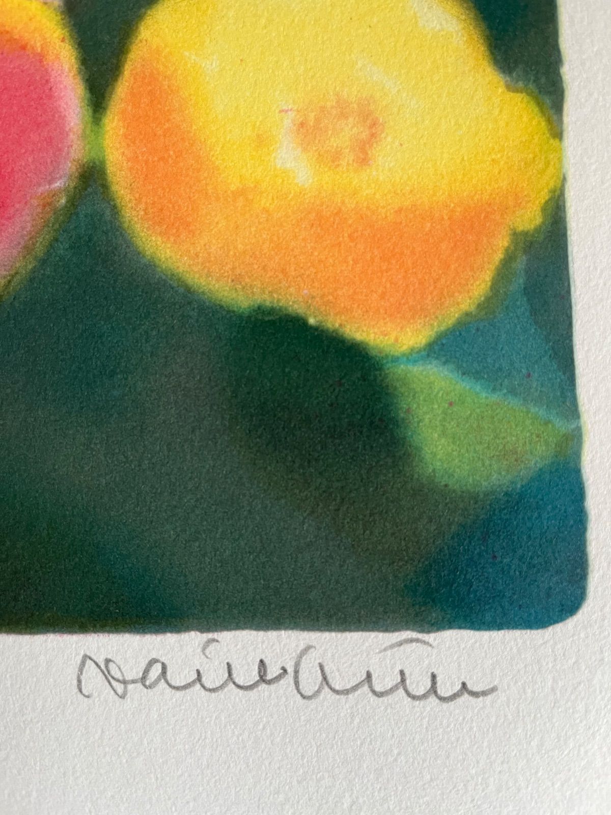 ジニー・キム リトグラフコレクション 2 証明書付き 新品額入り