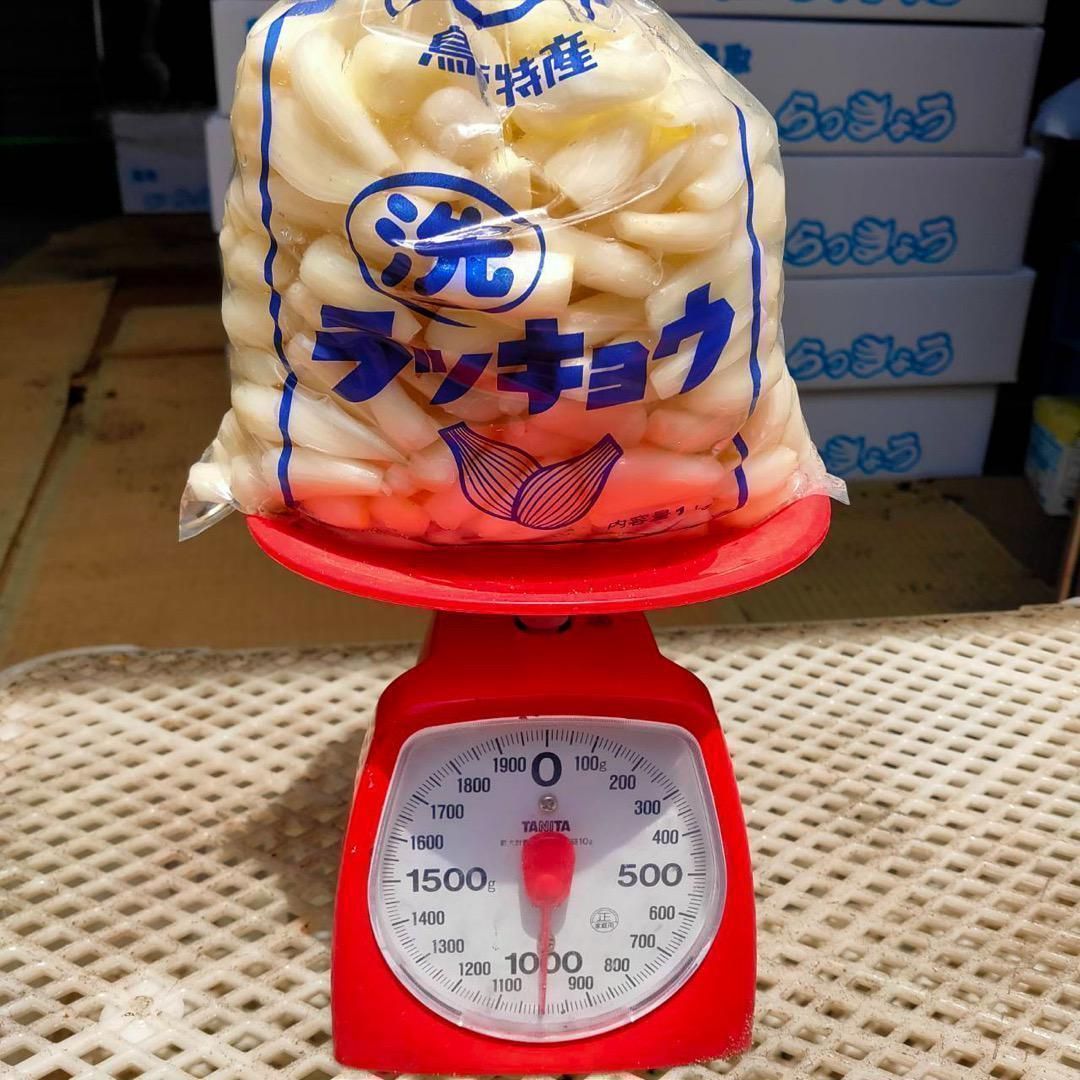洗いらっきょう 10kg