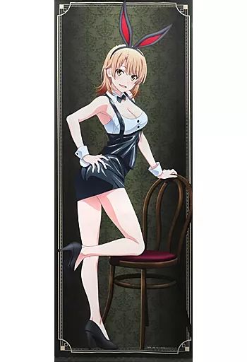 やはり俺の青春ラブコメはまちがっている。ドン・キホーテ ほぼ等身大