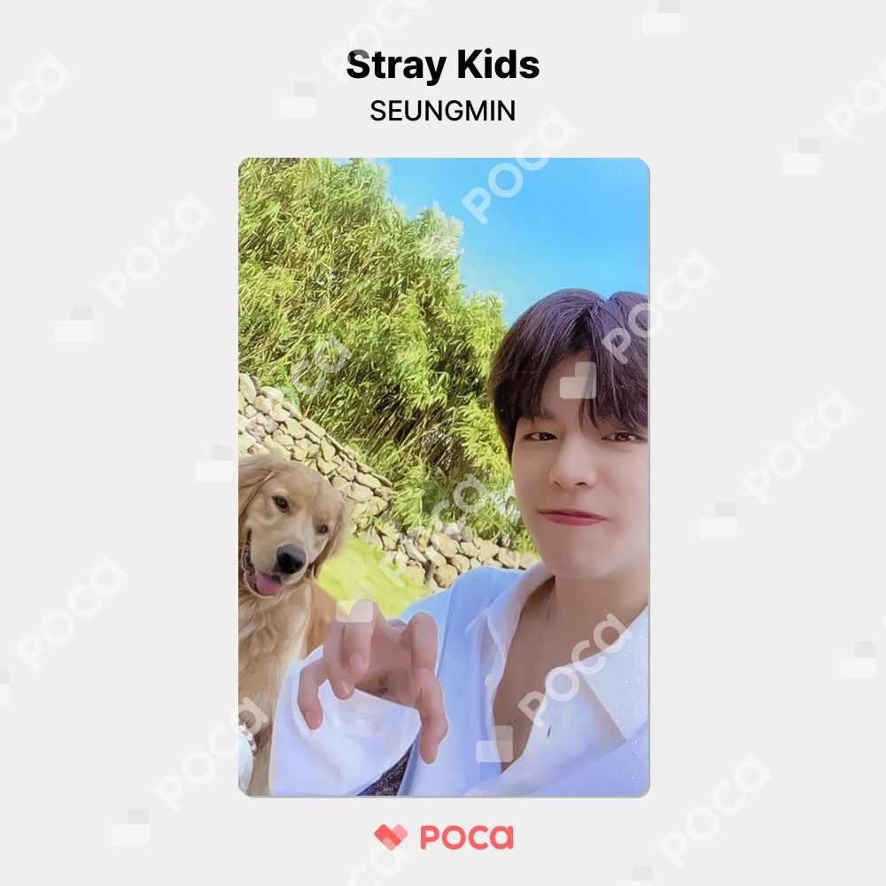 straykids スンミン スキズ トレカ 'Stay in STAY' JEJU
