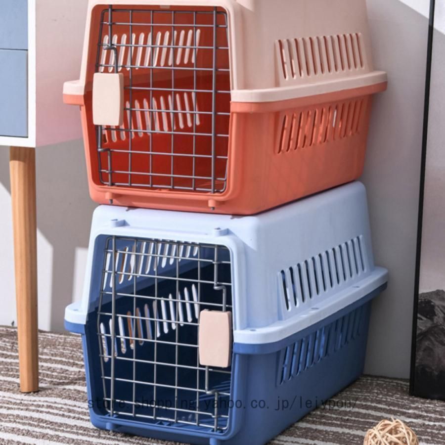 犬