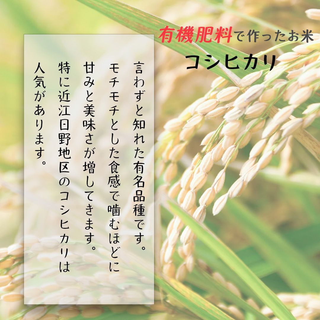 きぬむすめ 玄米（30kg） 有機肥料で育てたお米 近江米 業務用 単一原料米-