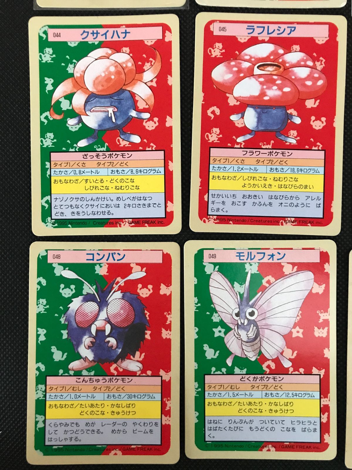 トップサン 裏緑